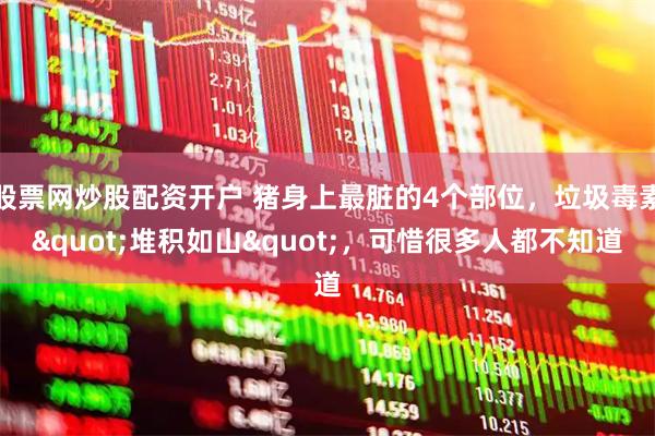 股票网炒股配资开户 猪身上最脏的4个部位，垃圾毒素"堆积如山"，可惜很多人都不知道