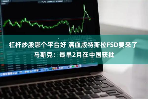 杠杆炒股哪个平台好 满血版特斯拉FSD要来了 马斯克：最早2月在中国获批